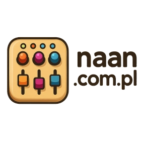 naan.com.pl