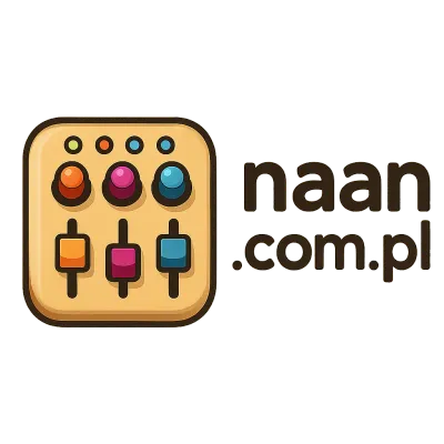 Logo naan.com.pl