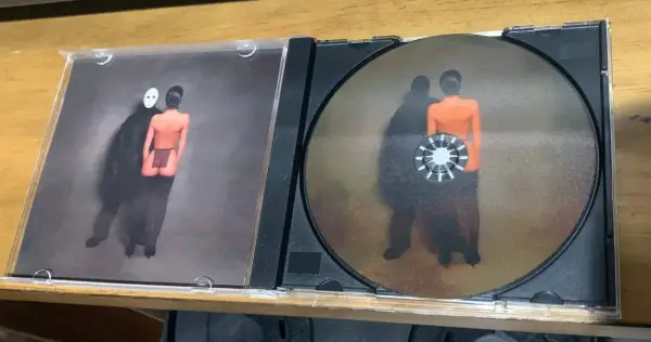 Otwarta płyta CD z okładką przedstawiającą postać w masce i nagą postać. Na płycie widnieje podobny obraz, jakby te postacie były jak sępy, ye.